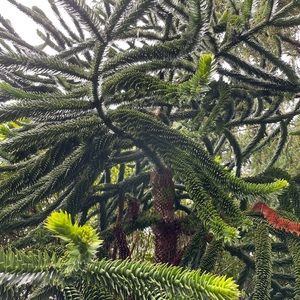 Meet your Posher, Kailein